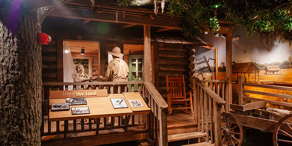 Pioneer Cabin