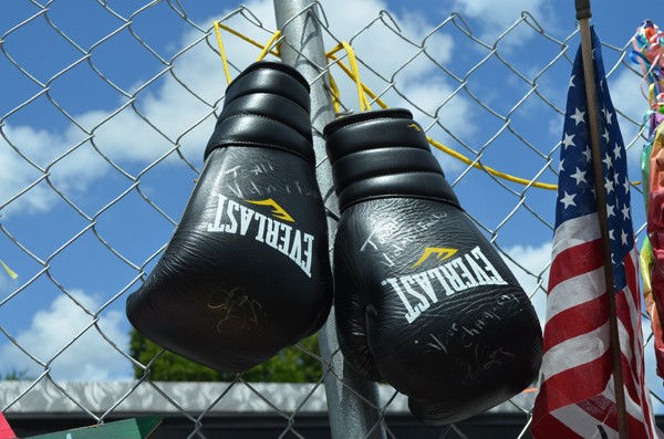 Pulse boxing gloves