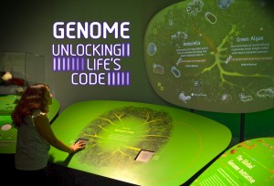 Inside Genome: Unlocking Life's Code