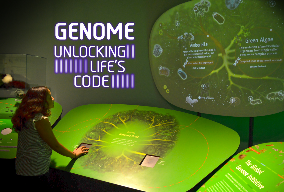 Inside Genome: Unlocking Life's Code