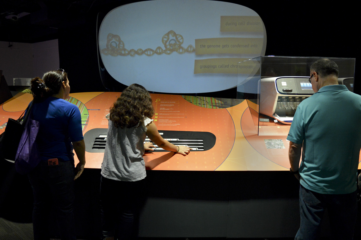 Genome: Unlocking Life's Code exhibit