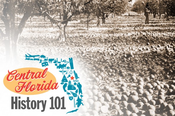 Black and white photo of citrus grove after the great freeze with logo for Central Florida History 101