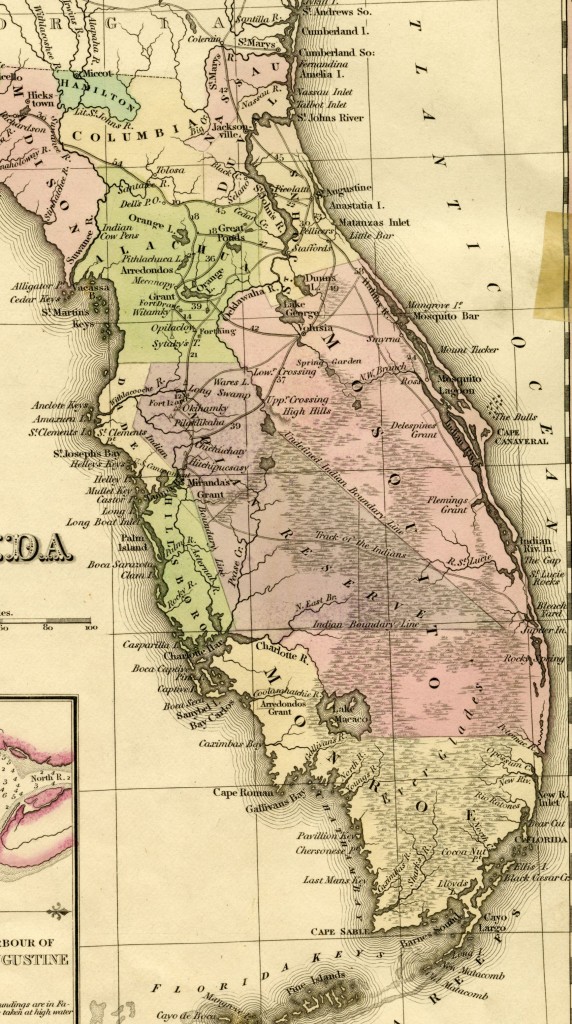 Vintage map showing Mosquito County