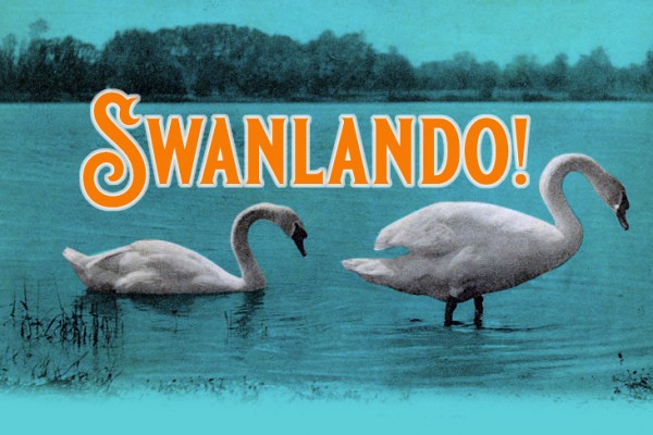 Two swan on a vintage postcard with large text reading "Swanlando!"