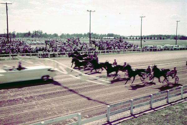 Ben White Raceway: The Training Capital of Harness Racing