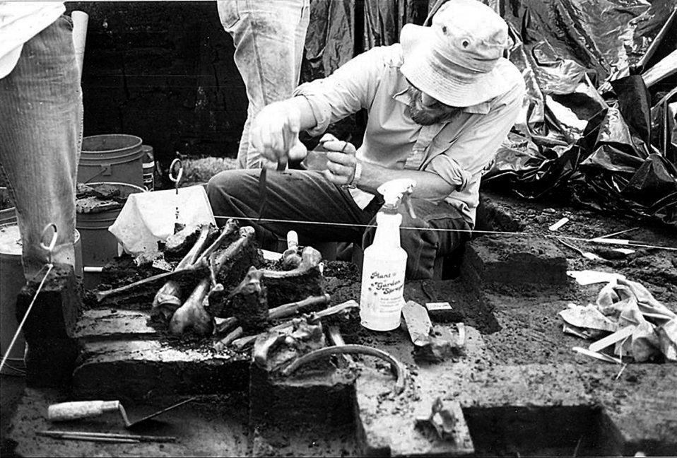 Windover Prehistoric Past Revealed at Ancient Pond Cemetery Orange