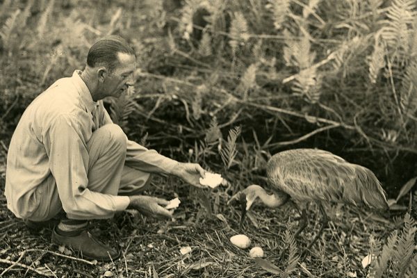 Orlozoo: Delmar Nicholson’s Wild Journey to Create the Orlando Municipal Zoo