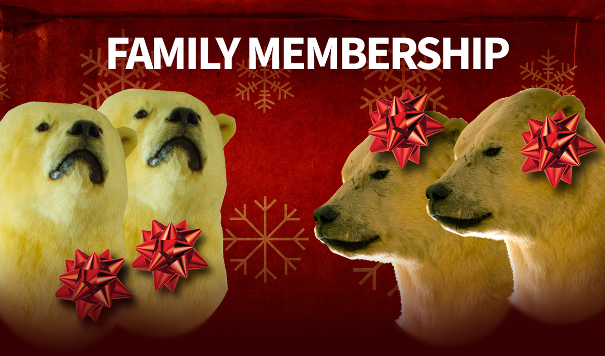 BOGO Membership Opportunity Orange County Regional History Center