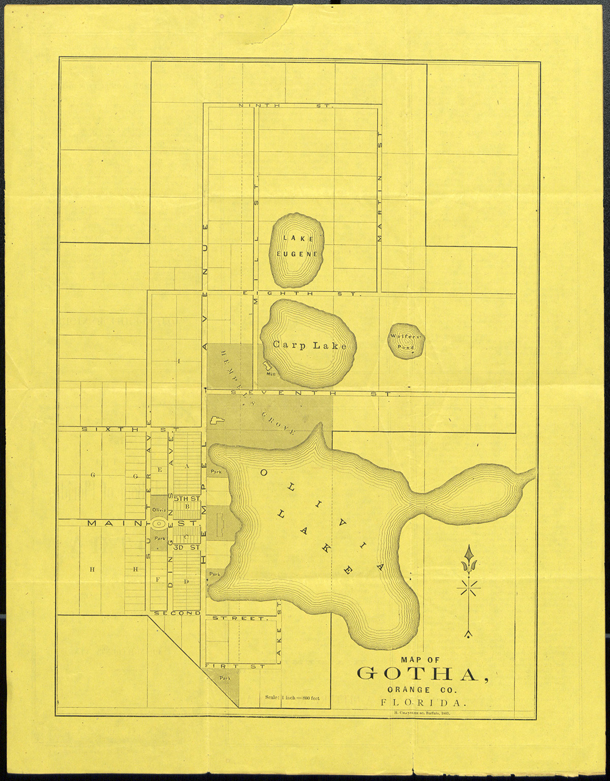 The Koehnes of Gotha German Heritage and a Literary Link Orange